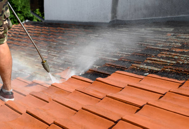 Why Choose Our Certified Pressure Washing Experts for Your Project Needs in Horizon West, FL?