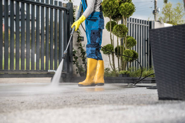 Roof Power Washing Services in Horizon West, FL