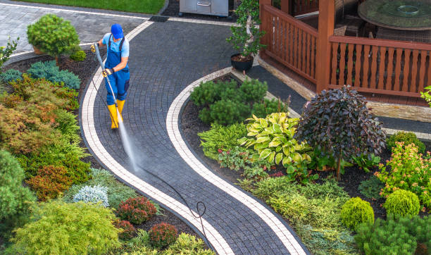 Local Pressure Washing Services in Horizon West, FL